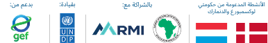 الشركاء المنفذون